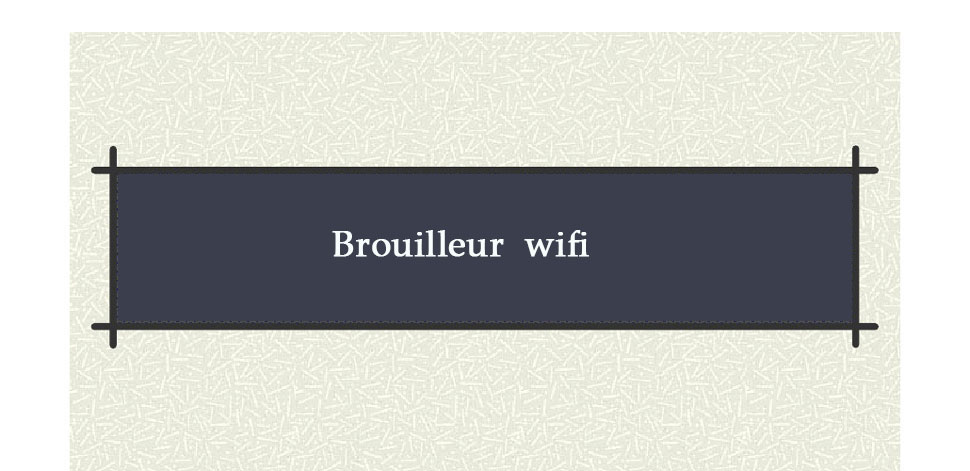 brouilleur wifi